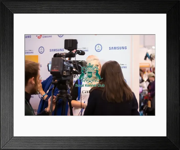 Framed Print : Samsungstand Framed Print : Samsungstand