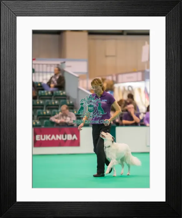Framed Print : Heelwork