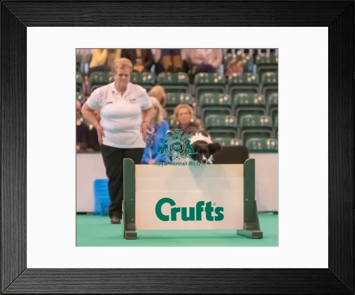 Framed Print : Jumping Framed Print : Jumping