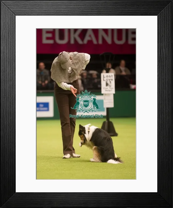 Framed Print : 2nd place from England Framed Print : 2nd place from England