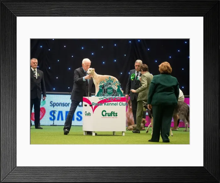 Framed Print : Hound Group 2 Mr a & Miss D Ritchie & Ritchie-Smith with Ir Ch Demerlay Armabay Billie Framed Print : Hound Group 2 Mr a & Miss D Ritchie & Ritchie-Smith with Ir Ch Demerlay Armabay Billie