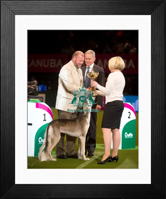 Framed Print : Hound Group Winner MRS I & MR N ERIKSSON with SE / NO / FI CH QIRMIZI OVATION FIW-13 Framed Print : Hound Group Winner MRS I & MR N ERIKSSON with SE / NO / FI CH QIRMIZI OVATION FIW-13