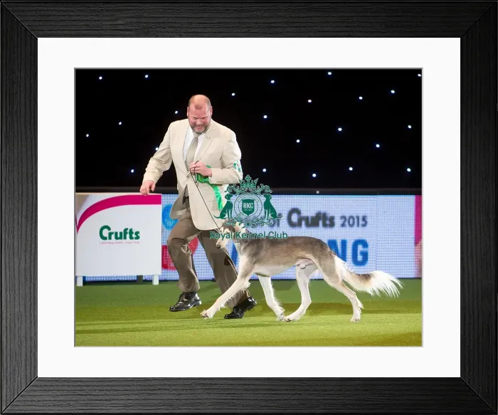 Framed Print : Hound Group Winner MRS I & MR N ERIKSSON with SE  /  NO  /  FI CH QIRMIZI OVATION FIW-13
