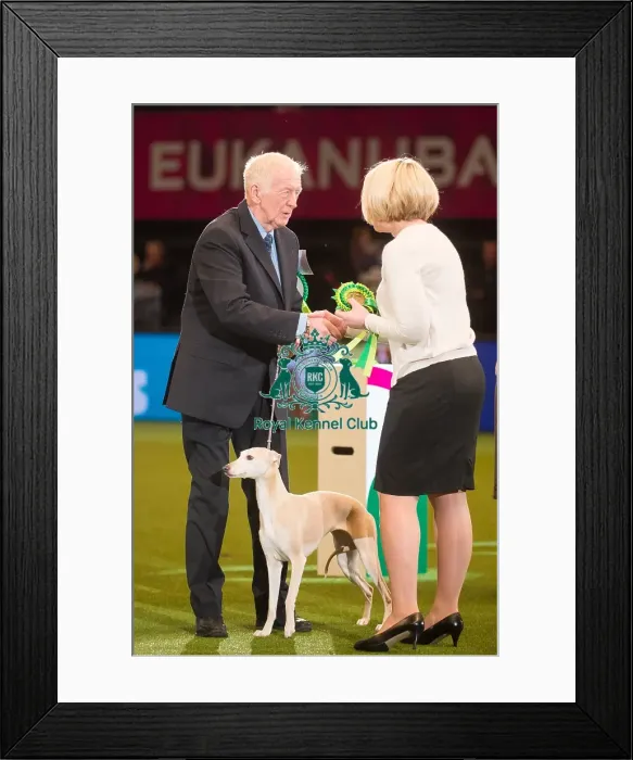 Framed Print : Hound Group 2 Mr a & Miss D Ritchie & Ritchie-Smith with Ir Ch Demerlay Armabay Billie