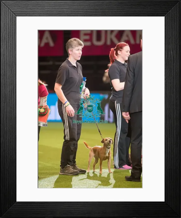 Framed Print : 2nd small Another Mad Moment Framed Print : 2nd small Another Mad Moment