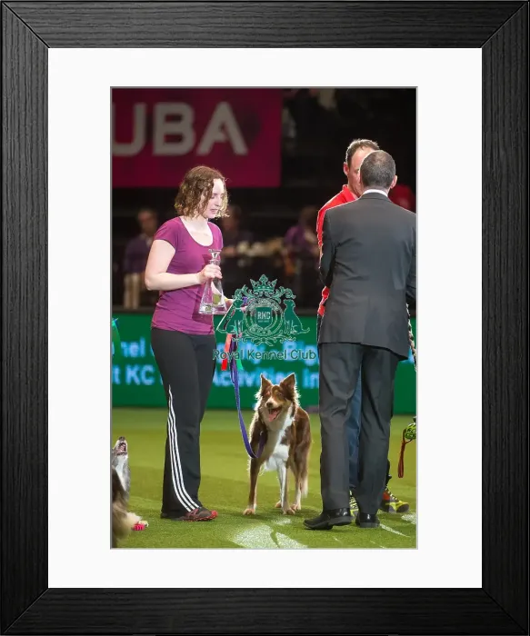 Framed Print : Winner large AG CH Rujaff Red Hot Scandal