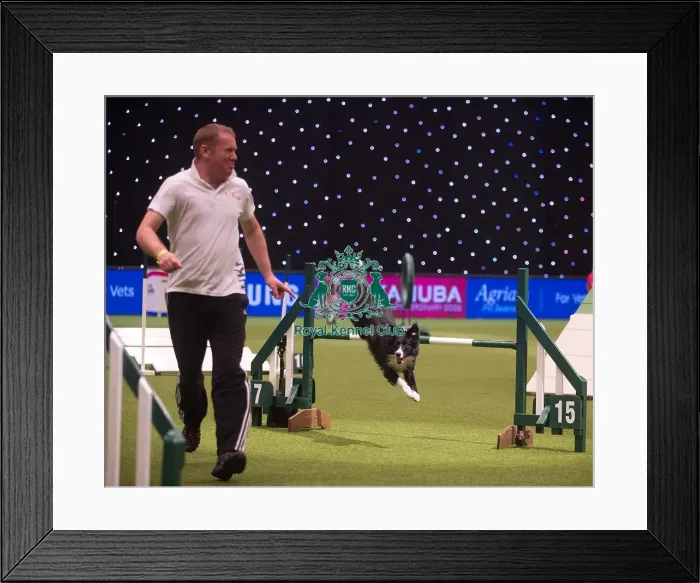 Framed Print : Crufts 2015 Framed Print : Crufts 2015