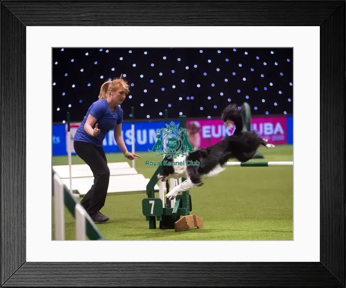 Framed Print : Crufts 2015 Framed Print : Crufts 2015
