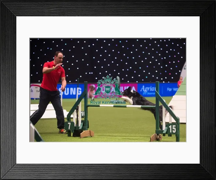 Framed Print : Crufts 2015