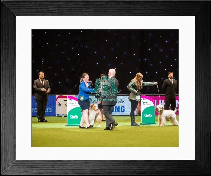 Framed Print : Crufts 2015 Framed Print : Crufts 2015