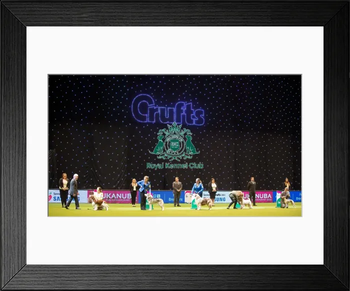 Framed Print : Crufts 2015 Framed Print : Crufts 2015