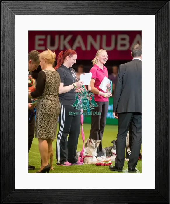 Framed Print : Winner medium AG CH Arnpriors Made of Honour Framed Print : Winner medium AG CH Arnpriors Made of Honour