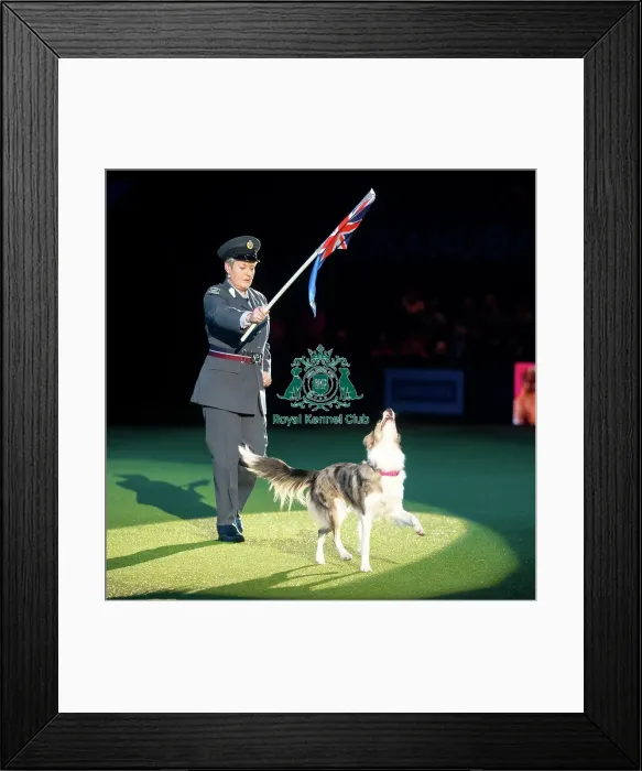 Framed Print : Mary Ray HTM routine Framed Print : Mary Ray HTM routine