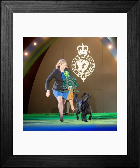 Framed Print : Reserve Bis Seu(U)Ch / Nouch Castlerock Simply Magic Fiv-12 Sev-13 Gbshch Cie Nordv-14 Framed Print : Reserve Bis Seu(U)Ch / Nouch Castlerock Simply Magic Fiv-12 Sev-13 Gbshch Cie Nordv-14