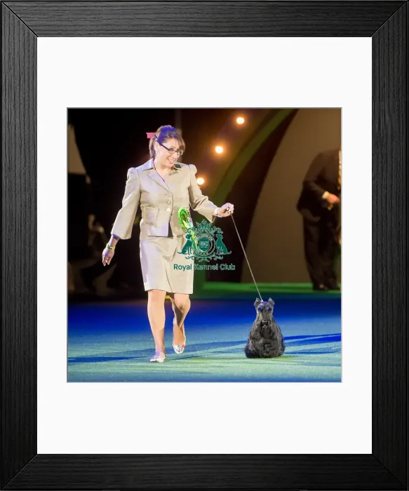 Framed Print : Bis Rus  /  Blr  /  Ukr  /  Cro  /  Lit  /  Lat,  /  Est  /  Balt  /  Slo  /  Pl  /  Am Ch McVans to Russia with Love