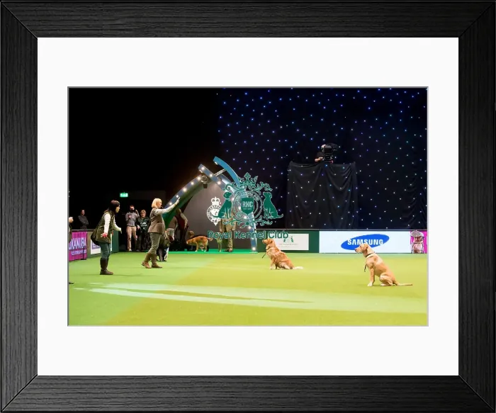Framed Print : Philippa Williams