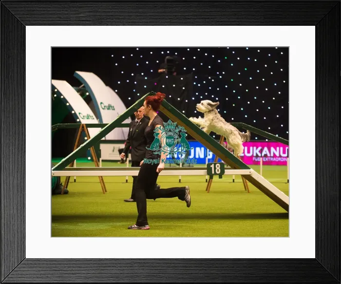 Framed Print : Ashley and Pudsey Framed Print : Ashley and Pudsey