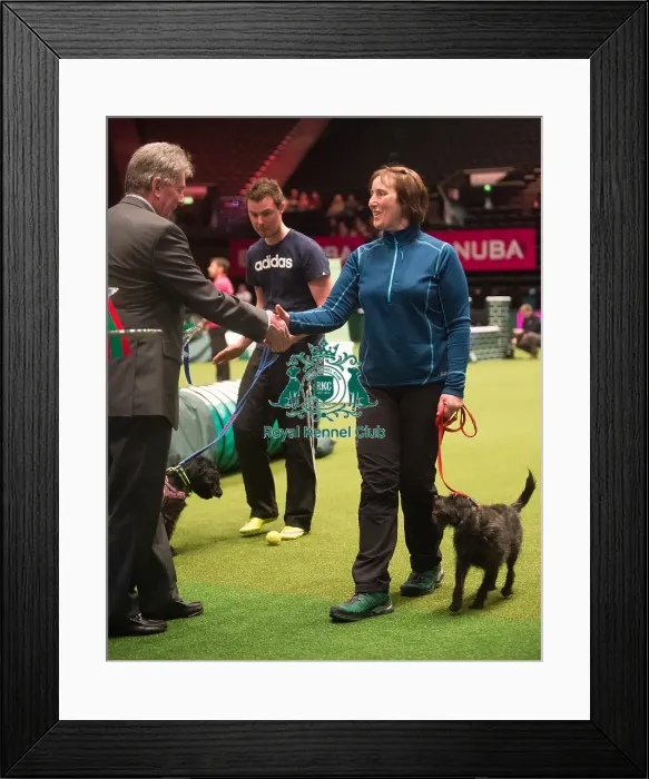 Framed Print : KC Novice Agility Small 2nd Helen Roberts with Bing Bong Bella Framed Print : KC Novice Agility Small 2nd Helen Roberts with Bing Bong Bella