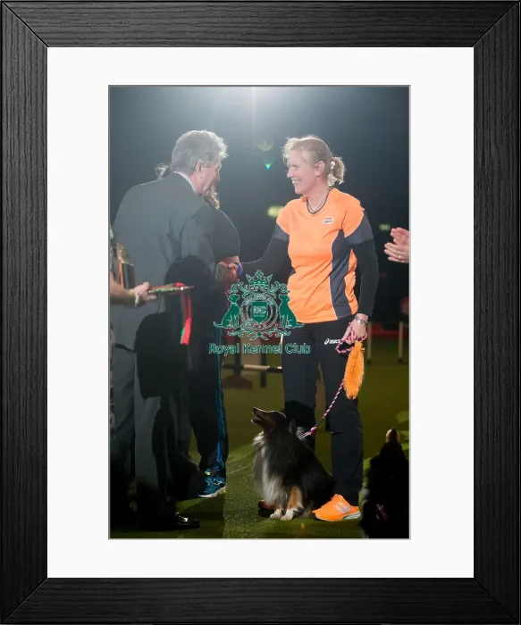 Framed Print : KC British Open Agility Small 2nd Michele Taffijn Bois with Little But Brave Dark Framed Print : KC British Open Agility Small 2nd Michele Taffijn Bois with Little But Brave Dark