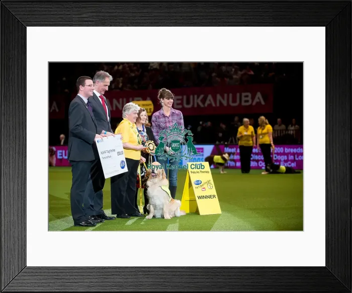 Framed Print : PAT Dog of the Year presented by TV presenter, Victoria Stillwell Framed Print : PAT Dog of the Year presented by TV presenter, Victoria Stillwell