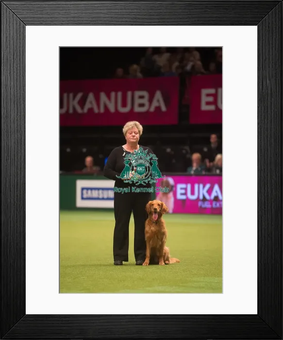 Framed Print : Winners of Obedience Crufts Championship presentation