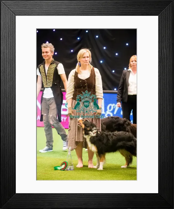 Framed Print : Winner from Czech Rep Framed Print : Winner from Czech Rep