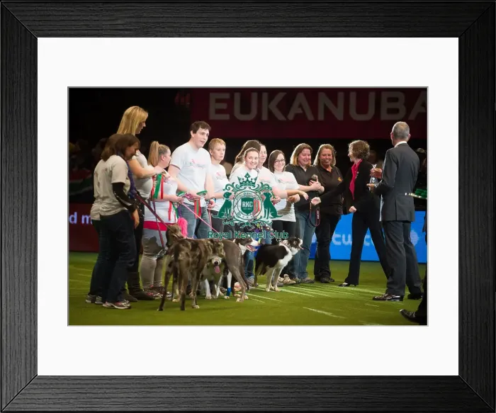 Framed Print : Winner Flyball Finals Framed Print : Winner Flyball Finals