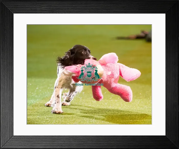 Framed Print : Adrian and Caroline Slater Framed Print : Adrian and Caroline Slater