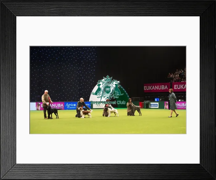 Framed Print : Gamekeepers Competition Final Framed Print : Gamekeepers Competition Final
