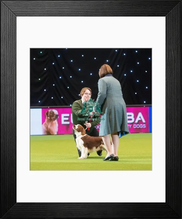 Framed Print : Gamekeepers Competition Final Framed Print : Gamekeepers Competition Final