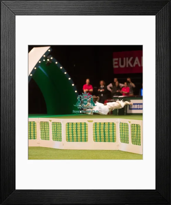 Framed Print : Adrian and Caroline Slater Framed Print : Adrian and Caroline Slater