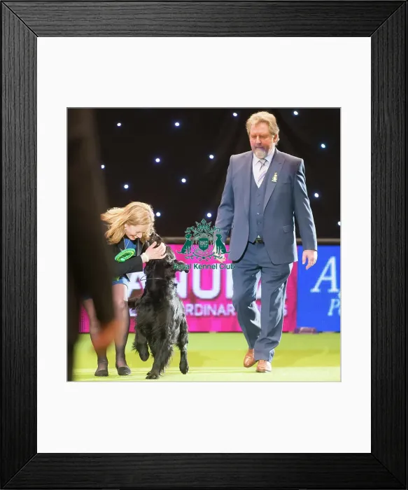 Framed Print : Gundog Group winner