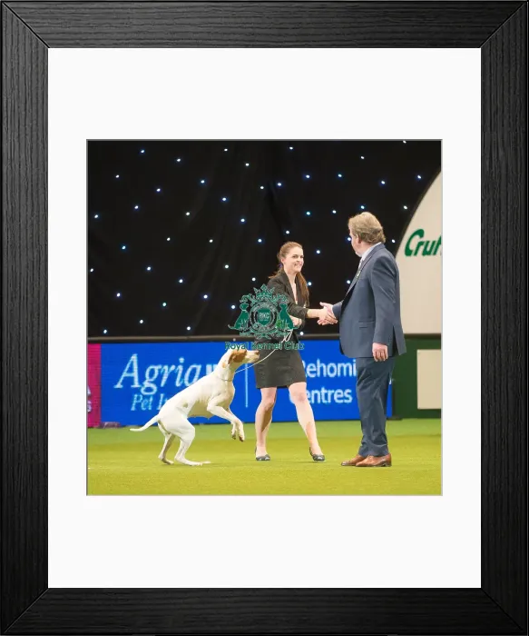 Framed Print : Gundog Group 2