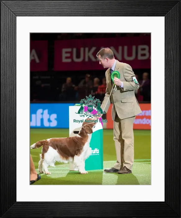 Framed Print : Gundog Group 3