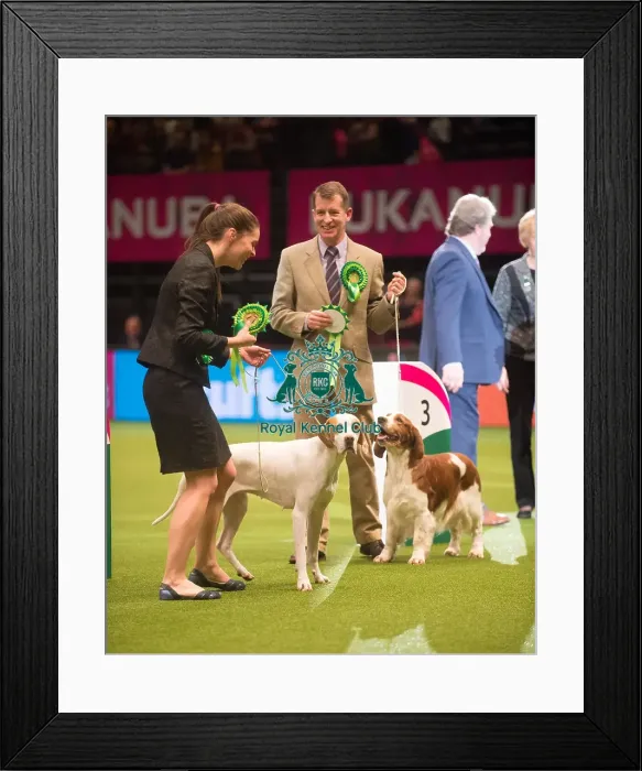 Framed Print : Gundog Group 2 Framed Print : Gundog Group 2