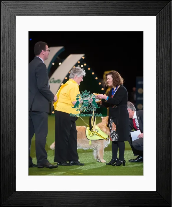 Framed Print : PAT dog of the year Framed Print : PAT dog of the year