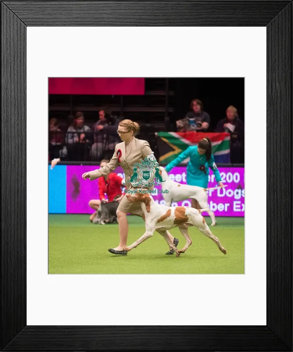 Framed Print : Lauren Hull Framed Print : Lauren Hull