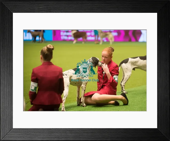 Framed Print : Crufts 2015 Framed Print : Crufts 2015