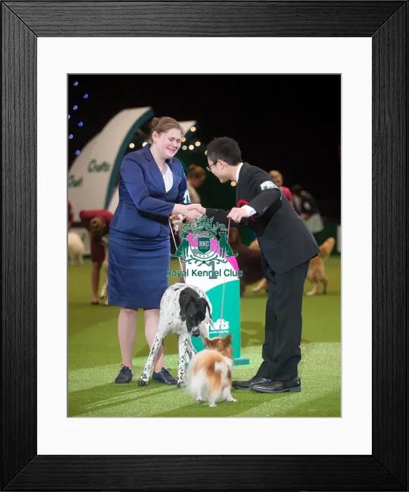 Framed Print : winner Dasha Moiseeva Framed Print : winner Dasha Moiseeva