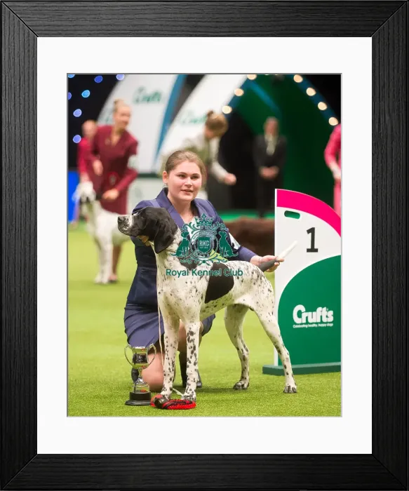 Framed Print : Winner of International Junior Handling Dasha Moiseeva from Belarus Framed Print : Winner of International Junior Handling Dasha Moiseeva from Belarus