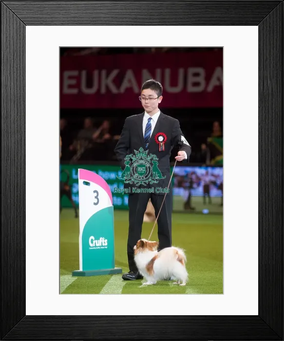Framed Print : 3rd Int Junior Handling from Japan Framed Print : 3rd Int Junior Handling from Japan