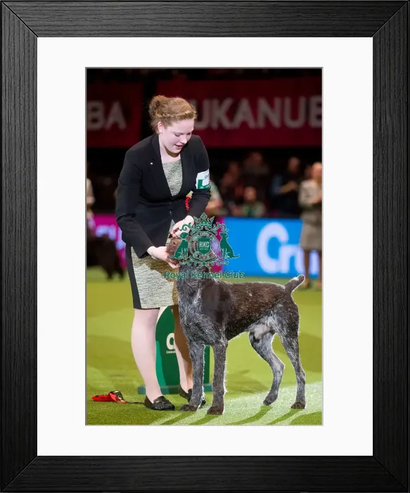 Framed Print : 2nd Int Junior Handling from Canada Framed Print : 2nd Int Junior Handling from Canada