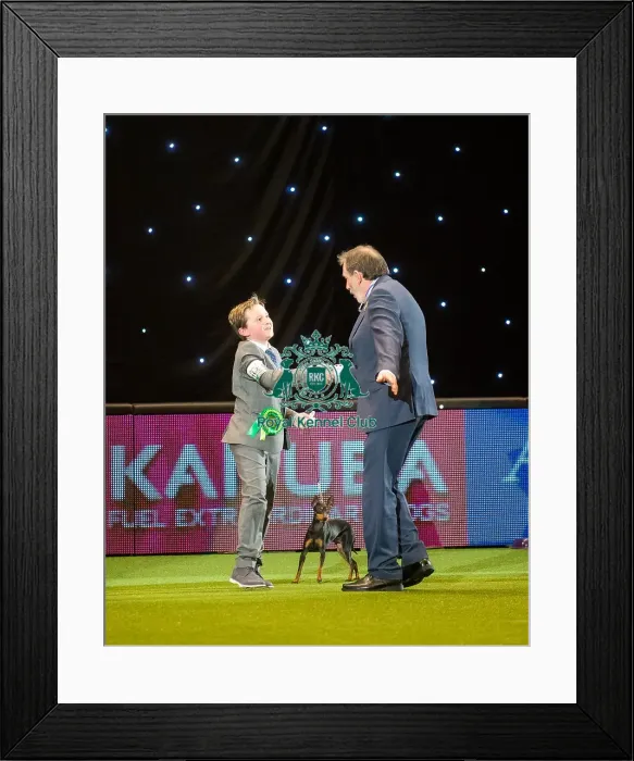 Framed Print : Toy group winner Framed Print : Toy group winner