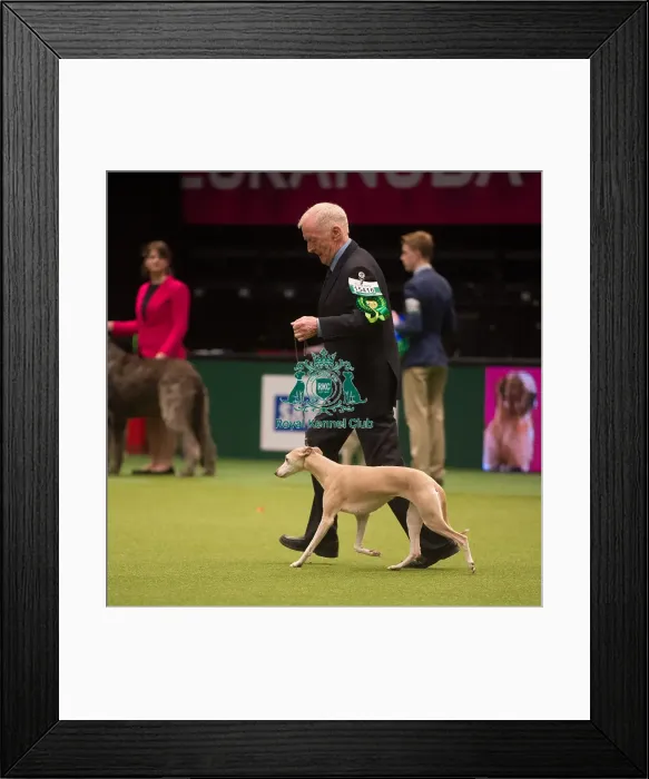 Framed Print : w Framed Print : w