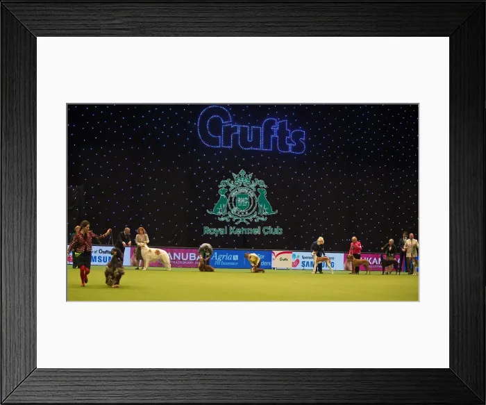 Framed Print : judging of Utility Group