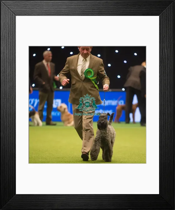 Framed Print : k