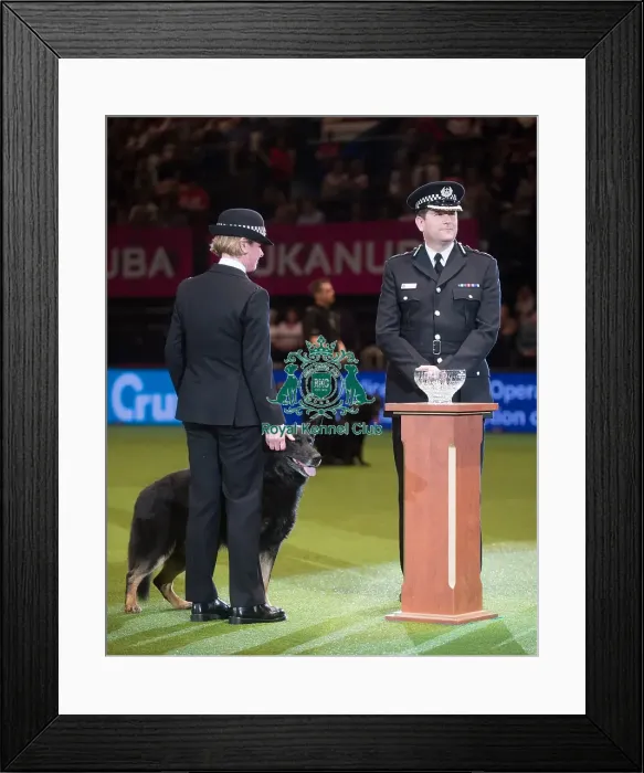 Framed Print : Presentation of the Police Dog Team Operational and Humanitarian Action of the Year Award