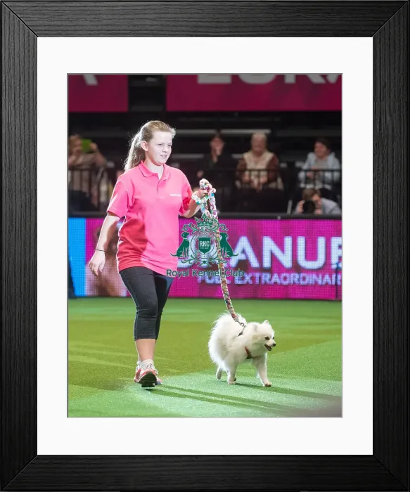 Framed Print : Winner Abbicher Dreaming Framed Print : Winner Abbicher Dreaming