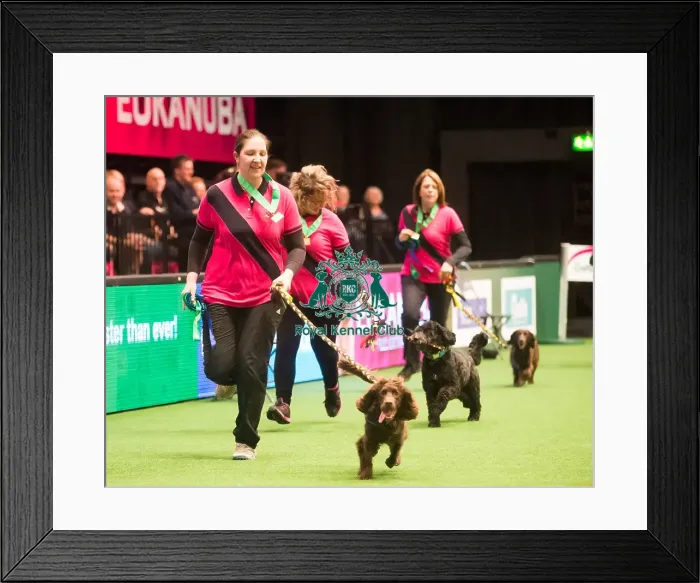 Framed Print : Medium teams 2nd Framed Print : Medium teams 2nd