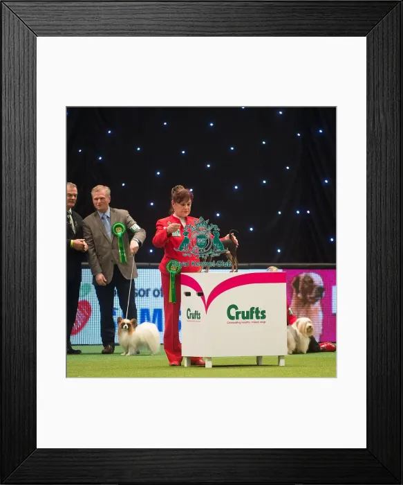 Framed Print : Best in Group, Crufts 2015 Framed Print : Best in Group, Crufts 2015